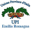 logo-UPI