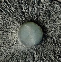 Un'opera della mostra